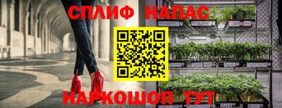 СК Ярославль
