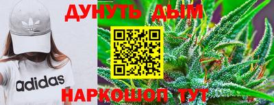 дурь Шелехов