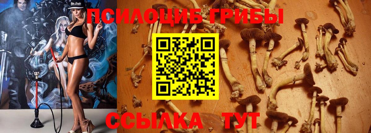 Псилоцибиновые грибы мухоморы Наро-Фоминск