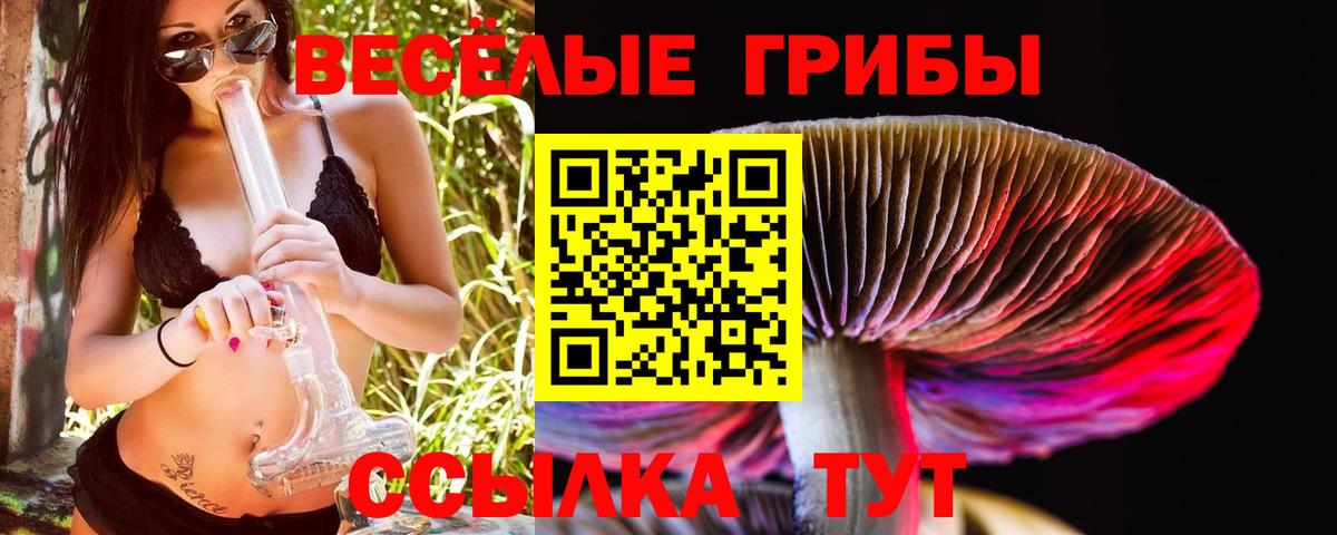 Псилоцибиновые грибы Psilocybe  Вход с VPN  Наро-Фоминск  Галлюциногенные грибы Psilocybine cubensis 